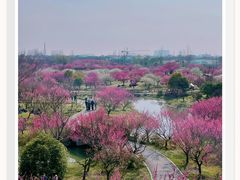 -花开海上生态园