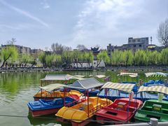 -莲湖公园