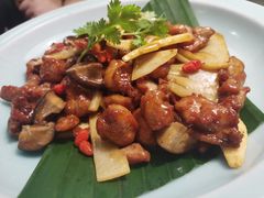 -雀舞云南菜(天津天河城购物中心店)