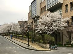 -浙江大学(玉泉校区)