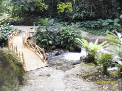 -莫里热带雨林景区