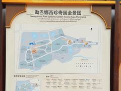 -云南勐巴娜西珍奇园