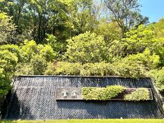 -云溪植物园
