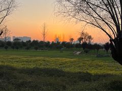 -汉长安城未央宫国家考古遗址公园