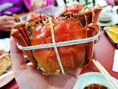 大闸蟹-黄记大闸蟹专卖店·活蟹·醉蟹