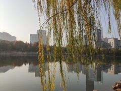 -后襄河公园