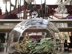 大堂里的小绿植-中家鑫园温泉酒店鑫悦汤泉