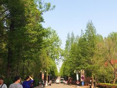 -日照海滨国家森林公园