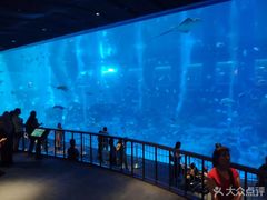 -新加坡海洋生态馆