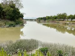 -福田红树林生态公园