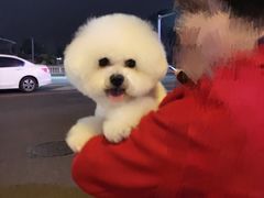-诺比宠物医院心脏内科·泌尿肾内外科·骨科急重症