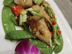 -四海之家(蛇口店)