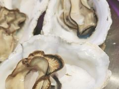 -蚝堡海鲜·威海菜·海肠捞饭·烧烤·亚洲吃蚝公司(幸福门店)