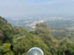 -黄埔油麻山森林公园