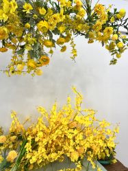 -小阿福儿童摄影(华中智谷店)
