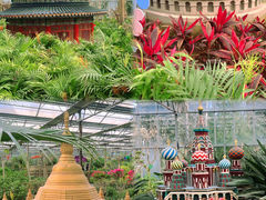 -南宫五洲植物乐园
