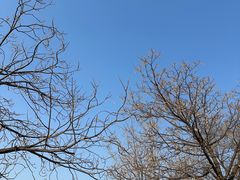 -汉长安城未央宫国家考古遗址公园