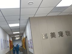 -嘉美宠物医院