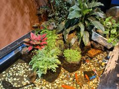 -隐炉和牛烧肉店(群力店)