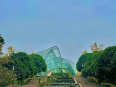-南山植物园
