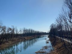 -东郊湿地公园