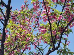 -宁波大学科学技术学院