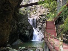 -牛背梁国家森林公园