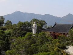 -金鸡山公园