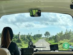 -盐城丹顶鹤湿地生态旅游区