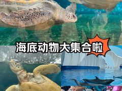 -广州海洋馆
