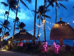 -Coco Tam’s