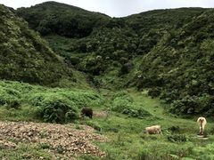 -乌蒙大草原