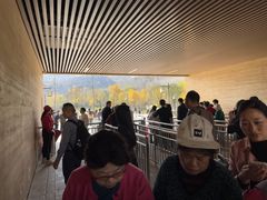 -千年银杏谷文化旅游区