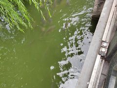 -济南大明湖景区