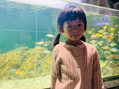-江和美海洋公园