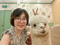 -怪兽屋·羊驼·猫咖·狗咖(俊华广场店)