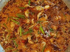 -胖子鱼·油泼甘谷辣子炝活鱼(秦州407店)