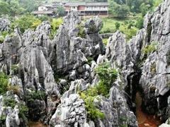 -千岛湖石林