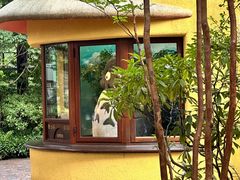 -三鹰之森吉卜力美术馆