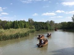 -溱湖国家湿地公园