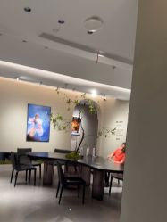 -大树儿童摄影