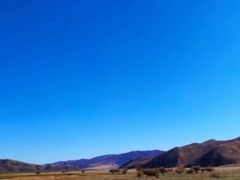 -阿尔山市大兴安岭奥伦布坎景区