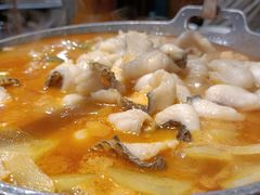 思茅酸汤鱼片-老滇山寨•云南特色菜•地方菜•民族风情歌舞表演(金碧店)