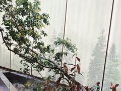 -双湖宴·湖北菜(文化路店)