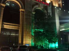 -锦龙国际酒店(天津奥体中心华苑地铁站店)