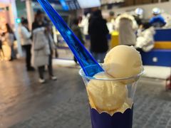 -西琳姑娘·新疆冰淇淋酸奶茶(南开大悦城店)