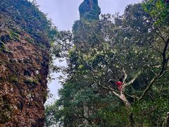 -七仙岭温泉国家森林公园