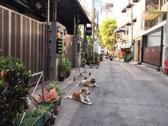 -暹罗广场