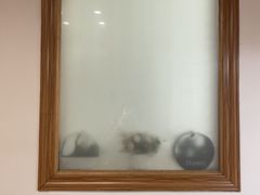 -山也·私厨(岳麓店)