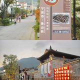 宁波周边游｜老巷新开🍂象山青草巷街区